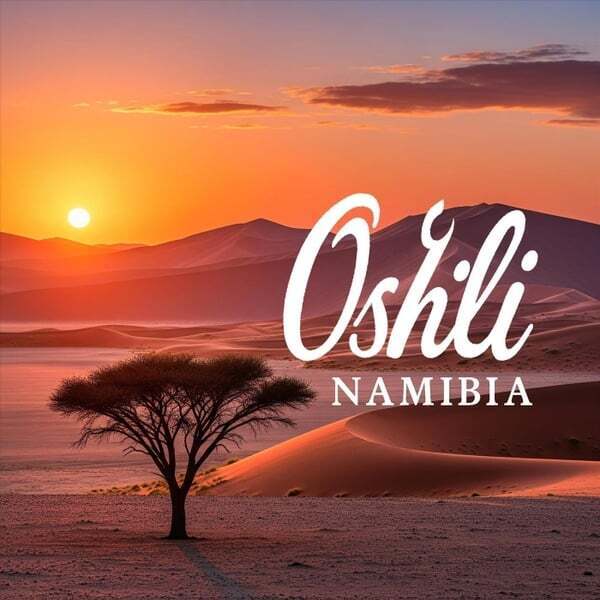 Cover art for Oshili Party Extended